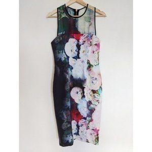 Ginger  &  Smart silk dress size 10